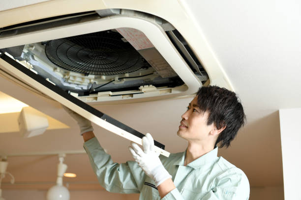 Best Ductwork Cleaning Services  in Tavares, FL